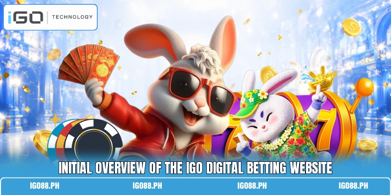 Initial overview of the IGO digital betting website