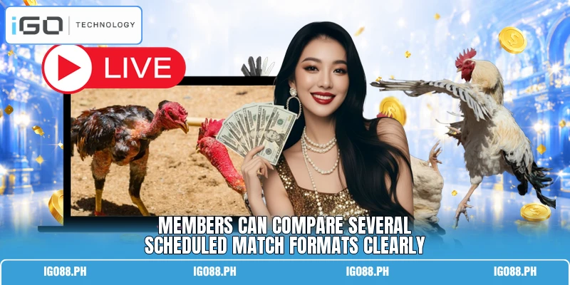 Members can compare several scheduled match formats clearly