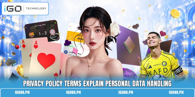 Privacy policy terms explain personal data handling